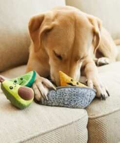 Pet Toys